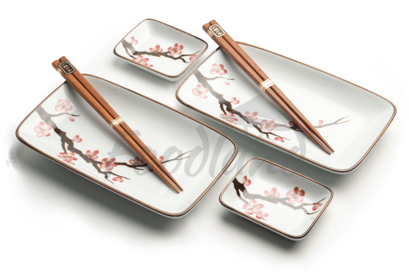 Japanese sushi set Sakana 6038838